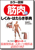 カラー図解 筋肉のしくみ・はたらき事典